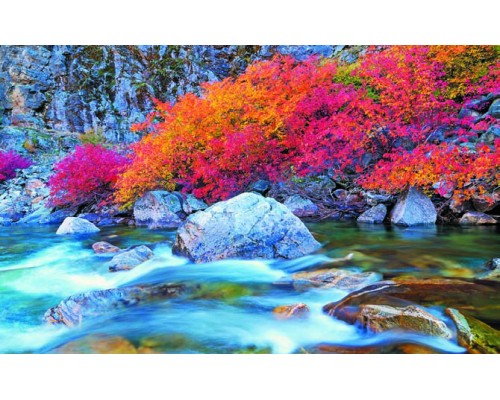 Desk Calendar DC14